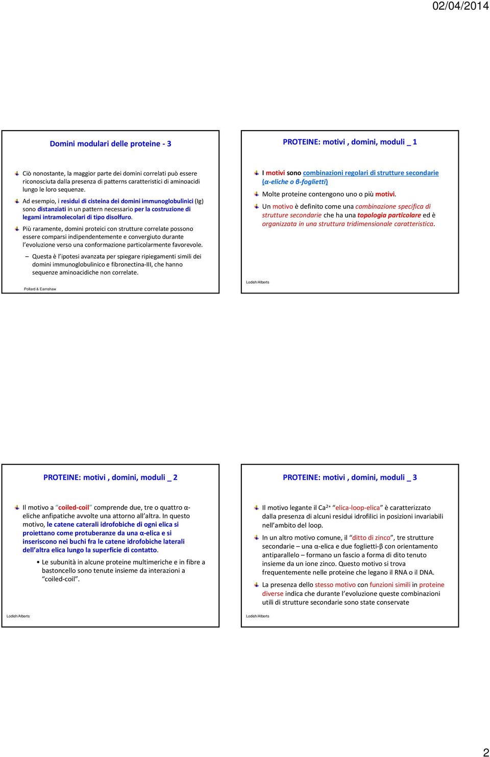 Ad esempio, i residui di cisteina dei domini immunoglobulinici (Ig) sono distanziati in un pattern necessario per la costruzione di legami intramolecolari di tipo disolfuro.