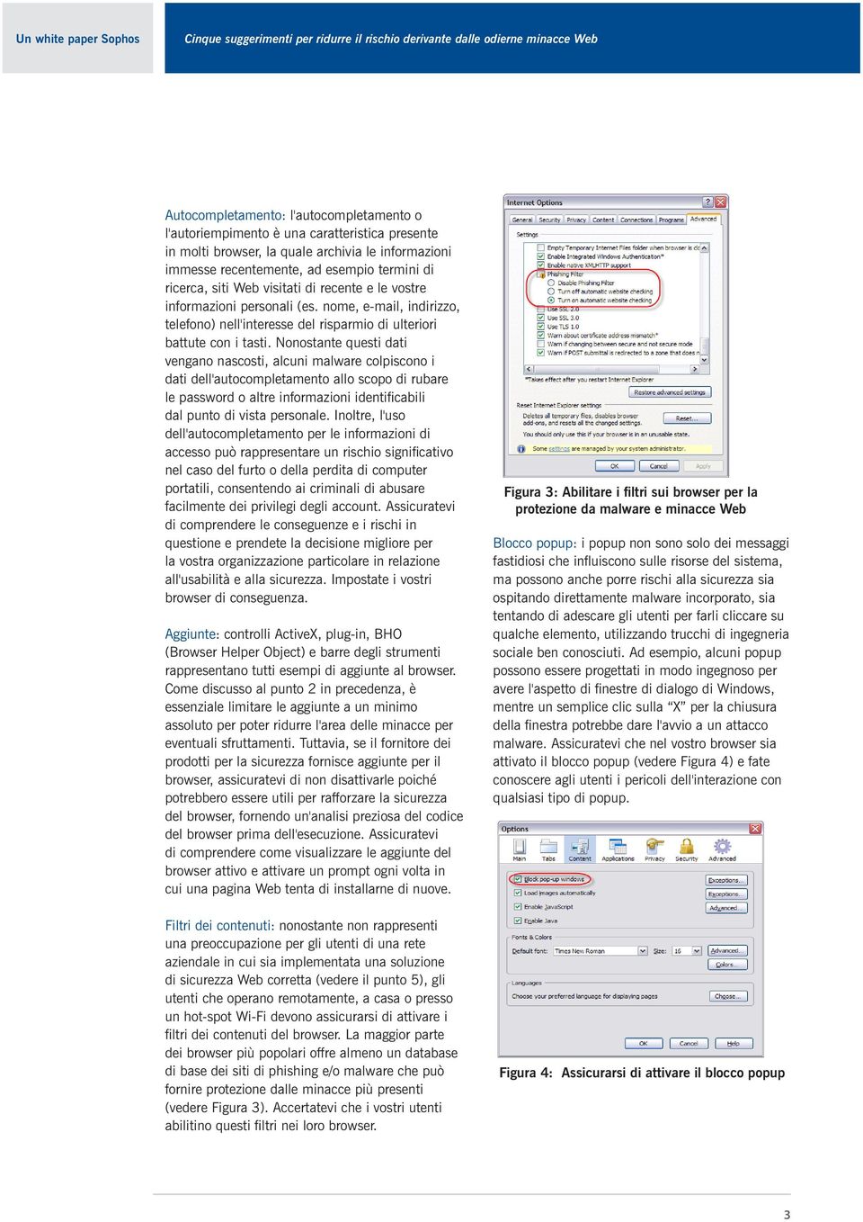 Nonostante questi dati vengano nascosti, alcuni malware colpiscono i dati dell'autocompletamento allo scopo di rubare le password o altre informazioni identificabili dal punto di vista personale.