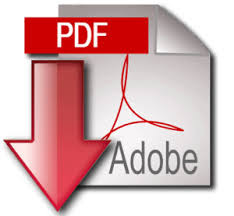 INTEGRITA E IMMODIFICABILITA Tali caratteristiche sono assicurate dal formato.pdf/.pdf/a Cos è il PDF?