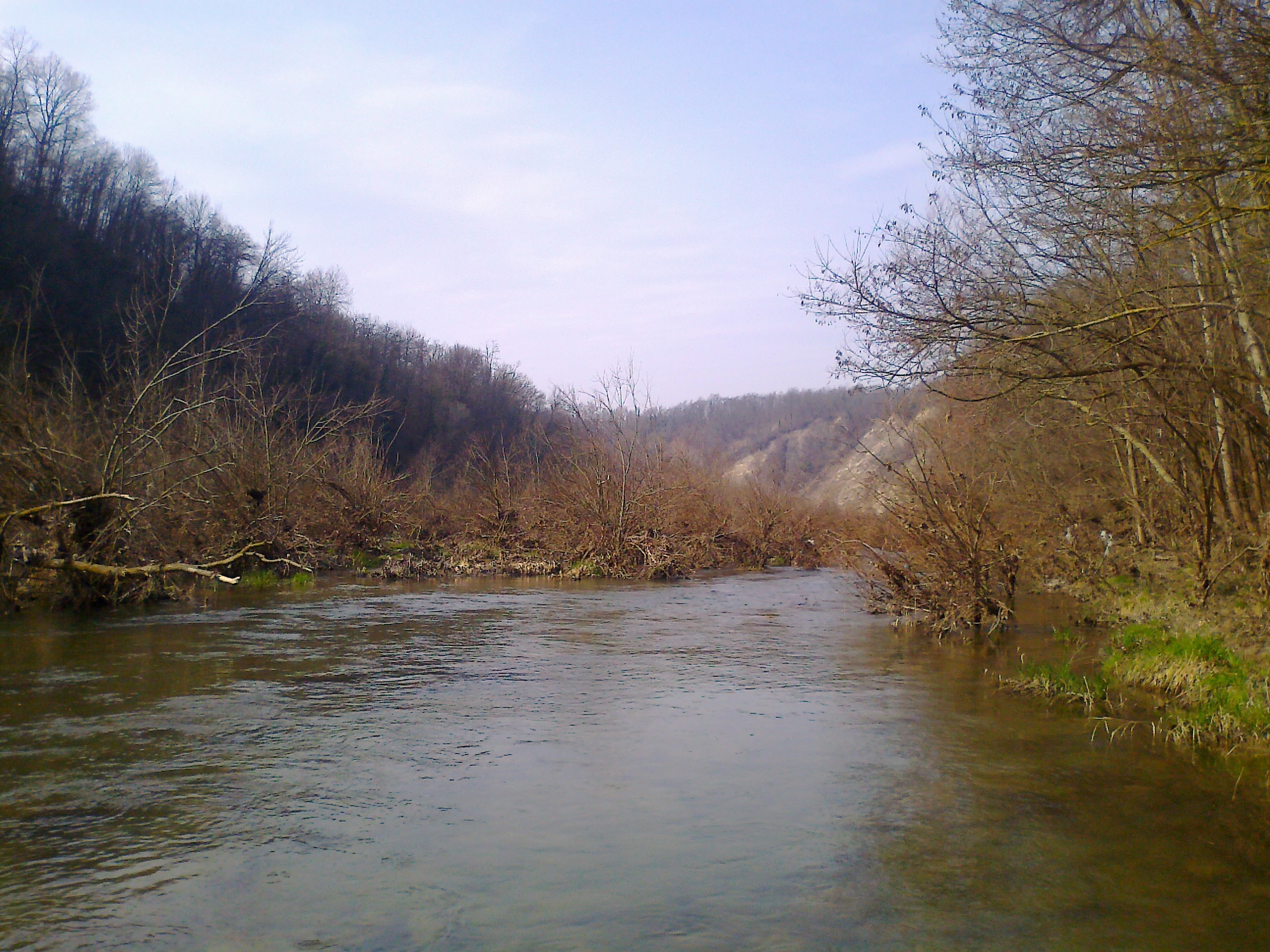 18 Monitoraggio Biologico del fiume Tanaro a Castellino Tanaro novembre 2015 L Indice Biotico Esteso colloca le due stazioni più a monte in I Classe e la stazione S3 in I/II Classe, mentre l Indice