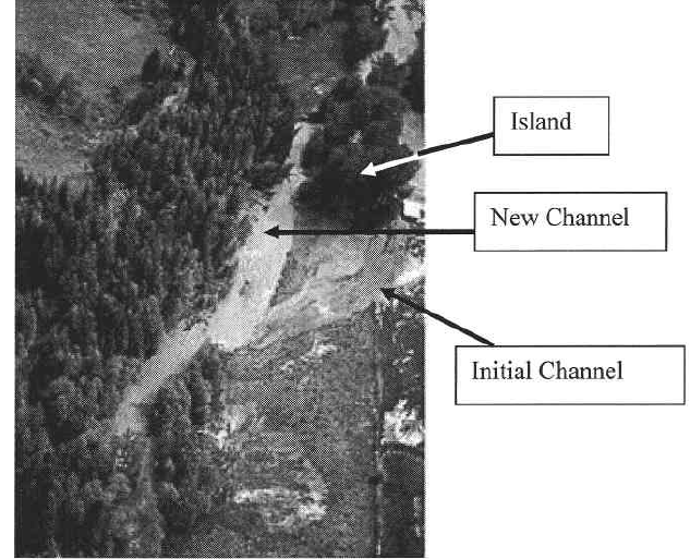la presenza in alveo di tronchi legnosi sono documentate nel Morice River, British Columbia (Gottesfeld, 1990) e nel Little River, Virginia.