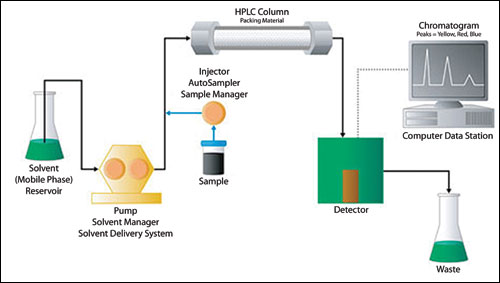 I COMPONENTI FONDAMENTALI DEL SISTEMA HPLC SONO: una pompa che regola e mantiene costante il flusso della fase mobile.