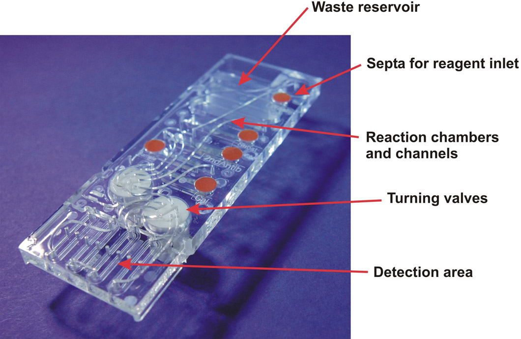 Lab-on-a-chip Serbatoio prodotti di scarto Ingresso reagenti Micro-camera di