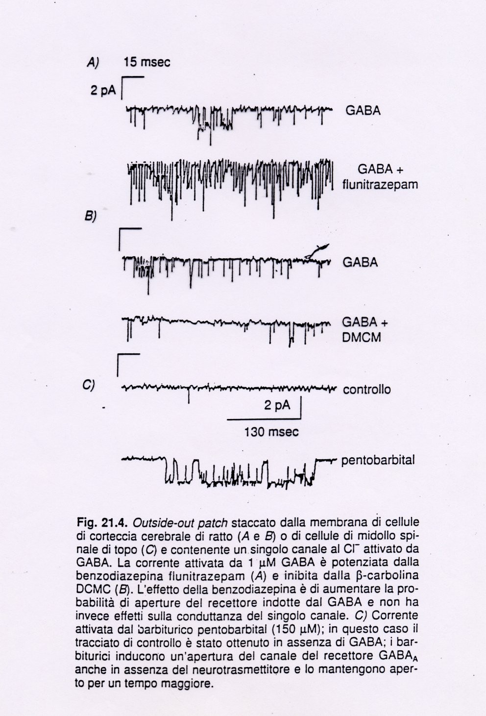 frequenza tempo di