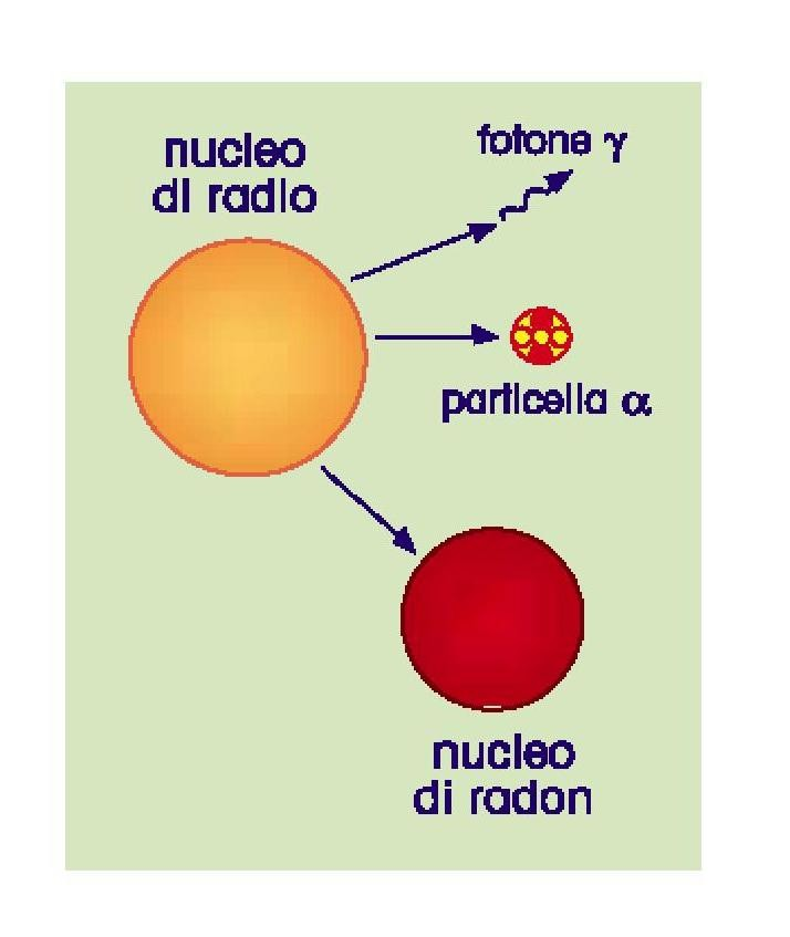 Trasformazioni Radon 222 Rn e soprattutto i suoi figli emettono particelle alfa dotate di elevata energia, capaci di impartire ai tessuti dosi elevate: Effetti tipici: danneggiamento cellule dell
