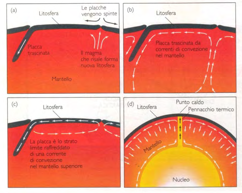 GEODINAMICA TETTONICA GLOBALE Flusso geotermico Liberazione del calore interno che causa la convezione nel