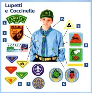 Uniforme L/C Berretto : per i Lupetti: berretto di colore verde scuro tipo inglese a 6 spicchi di giallo, invernale in panno, estivo in tela; per le Coccinelle: berretto di colore rosso tipo inglese