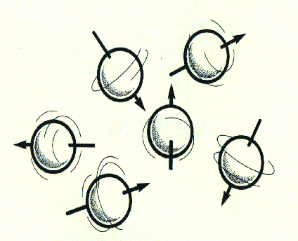 I nuclei con numero DISPARI di particelle hanno un MOMENTO MAGNETICO (cioè si comportano come