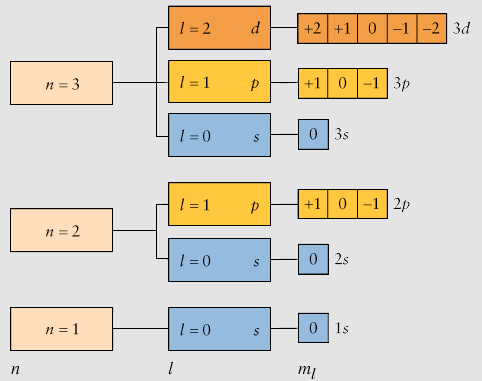 Numeri quantici e orbitali n =1,2,3,..., l = 0,1,2,...,n 1 m l = l, (l 1),.