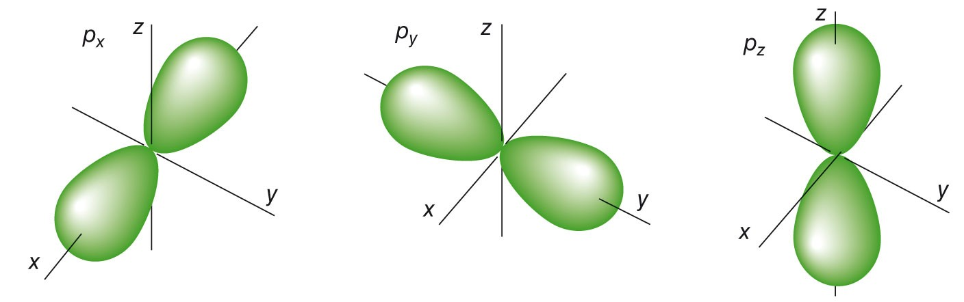 La forma (superficie di contorno) degli orbitali p è