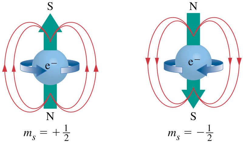 Numeri quantici 3. Numero quantico magnetico (m) : indica l orientamento e il numero degli orbitali. Può assumere tutti i valori interi tra -1 e +1, compreso lo zero. m = da +l a l.