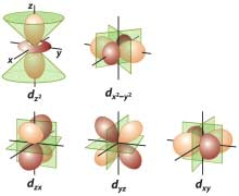 Gli Orbitali Atomici Numero quantico principale n = 1,, 3,, Numero quantico azimutale l = 0, 1,,, n-1 Numero quantico magnetico m l = -l, -l+1,, 0,,