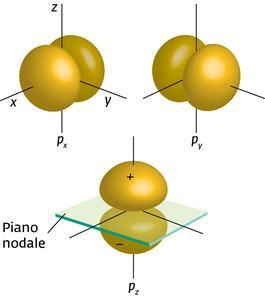 Orbitali p (l = 1) La superficie dii