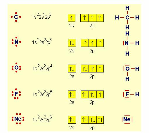 Atomi del 2 periodo e relativi composti con l'idrogeno.