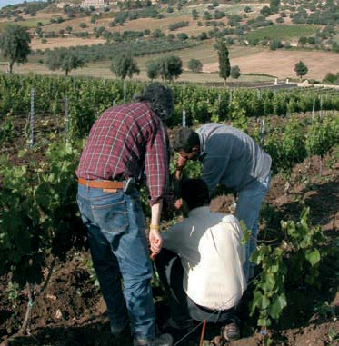 Naturalità: è il credo che da sempre guida il nostro lavoro.