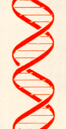 DNA DELL IMPRESA ETICAMENTE