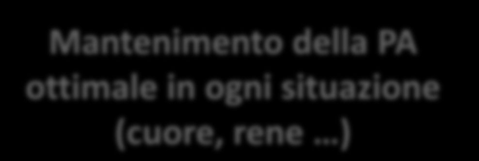 La Pressione Arteriosa del sangue: chi dirige?