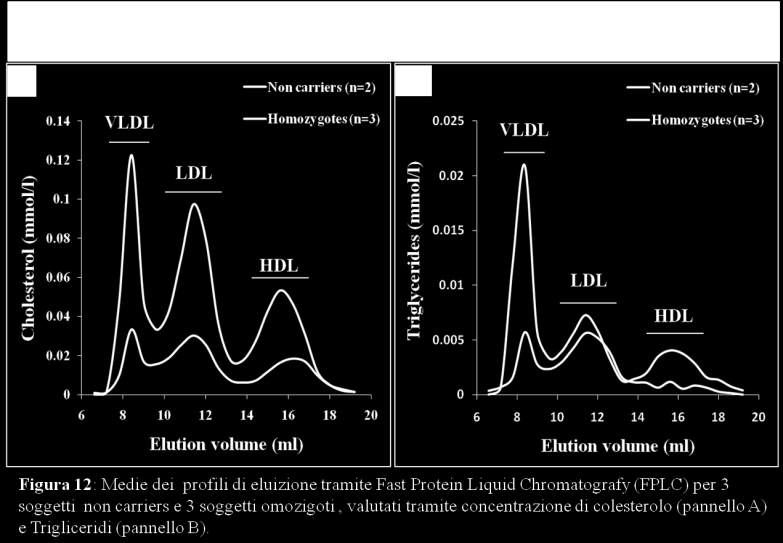 Figura 12: Profili delle lipoproteine sieriche per non carriers e portatori omozigoti della mutazione S17X. 4.