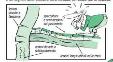 Edifici muratura: Livello di Conoscenza Adeguata LC2 Geometria a) Rilievo della muratura e degli elementi caratterizzanti (volte, solai, scale) b) Individuazione tipologia di fondazioni c) Rilievo