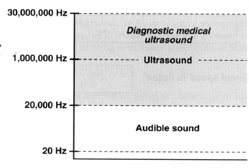 Principi fisici e terminologia degli Ultrasuoni: FREQUENZA f = Numero di cicli al secondo (Hz)