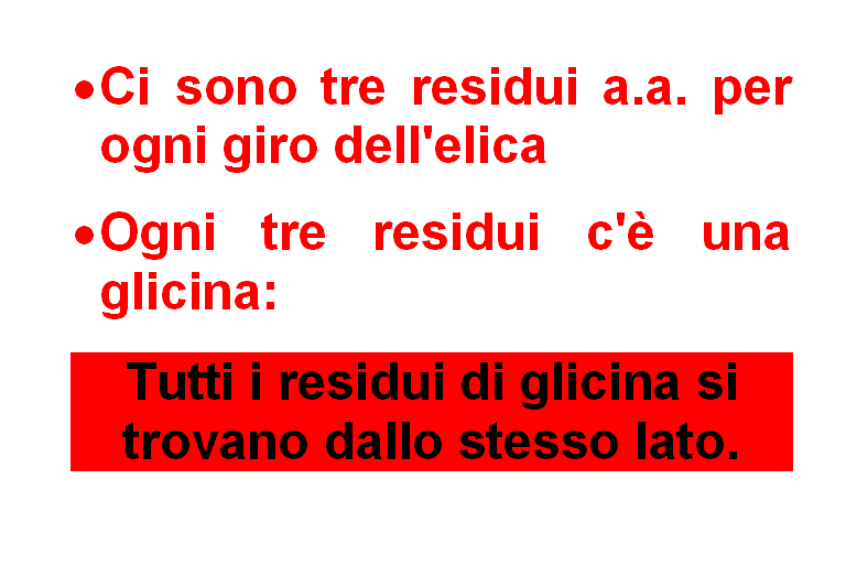 Scaricato da L'elica del collageno non presenta legami ad H intracatena ed è stabilizzata dalla repulsione sterica tra gli