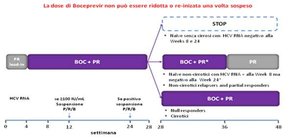 5 Dai dati riportati in tabella relativi a schedule, efficacia e profilo di sicurezza dei differenti regimi terapeutici prescrivibili in Italia nei pazienti genotipo 1 naive, si evince come sia