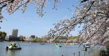 Pre Tour Hiroshima & Miyajima + Sulle Orme dei Samurai FANTASTICO GIAPPONE MERAVIGLIOSO VIAGGIO CHE ABBINA, AL TOUR "SULLE ORME DEI SAMURAI", HIROSHIMA E MIYAJIMA L ISOLA IN CUI CONVIVONO UOMINI E