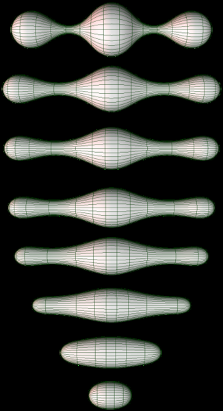 Fig. 3 flusso di Ricci bidimensionale.