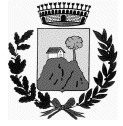 COMUNE DI GAGGIO MONTANO PROVINCIA DI BOLOGNA P.zza A. Brasa, 1 40041 Gaggio Montano Tel 0534/38003 Fax 0534/37666 DELIBERAZIONE DEL CONSIGLIO COMUNALE N.