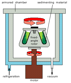 Centrifughe Microcentrifuga Camera d acciaio Rotore