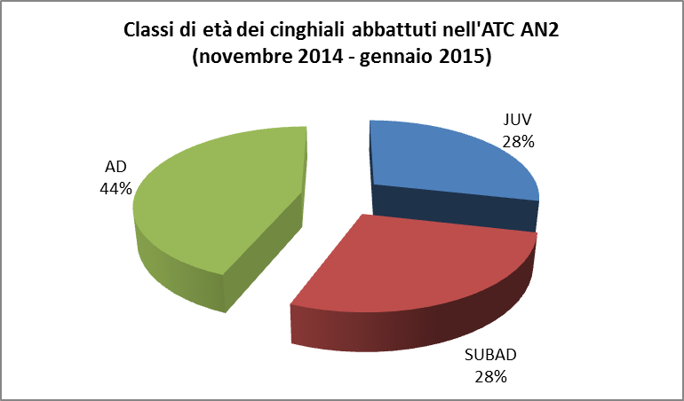 Riguardo alla classe d età, possiamo notare che il maggior numero di abbattimenti riguarda la classe degli adulti, ricalcando ciò che è avvenuto anche lo scorso anno, fenomeno evidente soprattutto