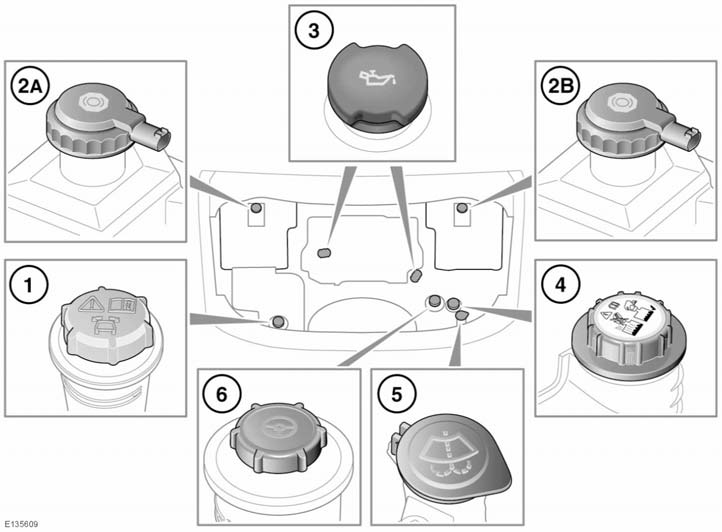 Manutenzione PANORAMICA DEL VANO MOTORE V6 Diesel 1. Tappo del serbatoio del liquido del sistema di risposta dinamico. 2. Tappo del serbatoio liquido freni: A. Veicoli con guida a destra. B.