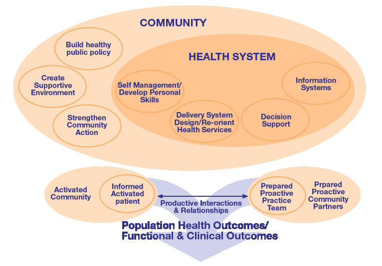 P.6 PROGRAMMA: PREVENZIONE DELLA CRONICITA Descrizione del programma Come indicato dal Piano Nazionale della Prevenzione 2014 2018 in riferimento alle strategie di prevenzione individuale delle