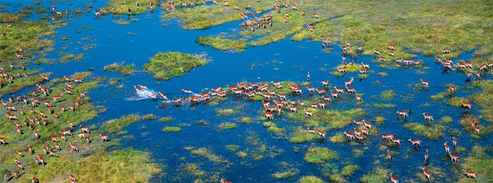 BOTSWANA Una terra ricca di contrasti, emozioni e sensazioni irripetibili.