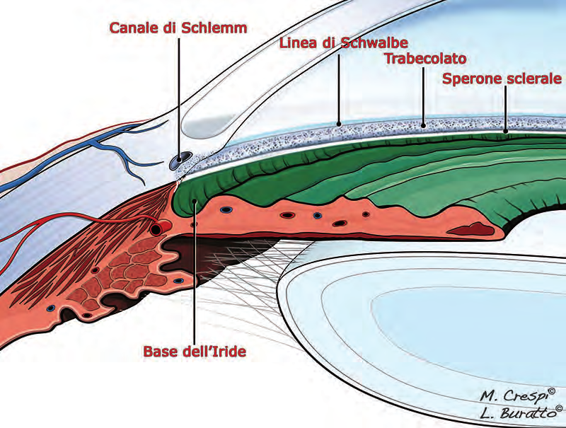 Fig.1.