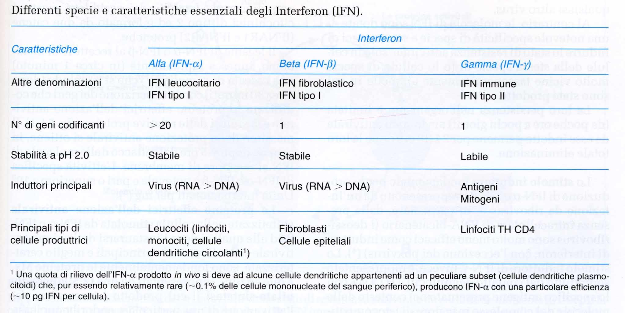 Caratteristiche