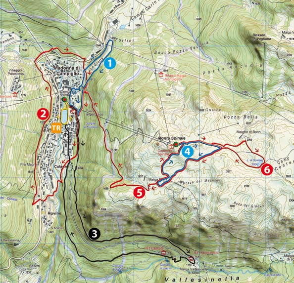 estate 2009 Dolomiti Nordic Walking Park Due nuovi park a Madonna di Campiglio e Pinzolo per la pratica del nordic walking, la camminata con bastoncini che offre un modo facile, aerobico ed efficace