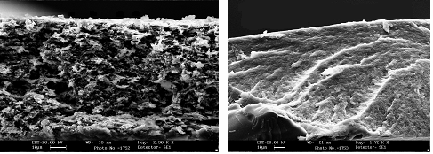 Le due immagini SEM di seguito riportate confermano come al ridursi del tempo di preidrolisi per un dato ibrido, le membrane presentano nanoporosità più aperte ed interconnesse.