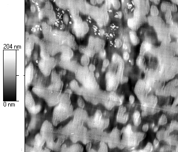 In alternativa si è pensato di realizzare blend ottenute a partire dallo stesso polimero, ma con diverso grado di sulfonazione in quest ottica si è riusciti ad ottenere un interessante morfologia