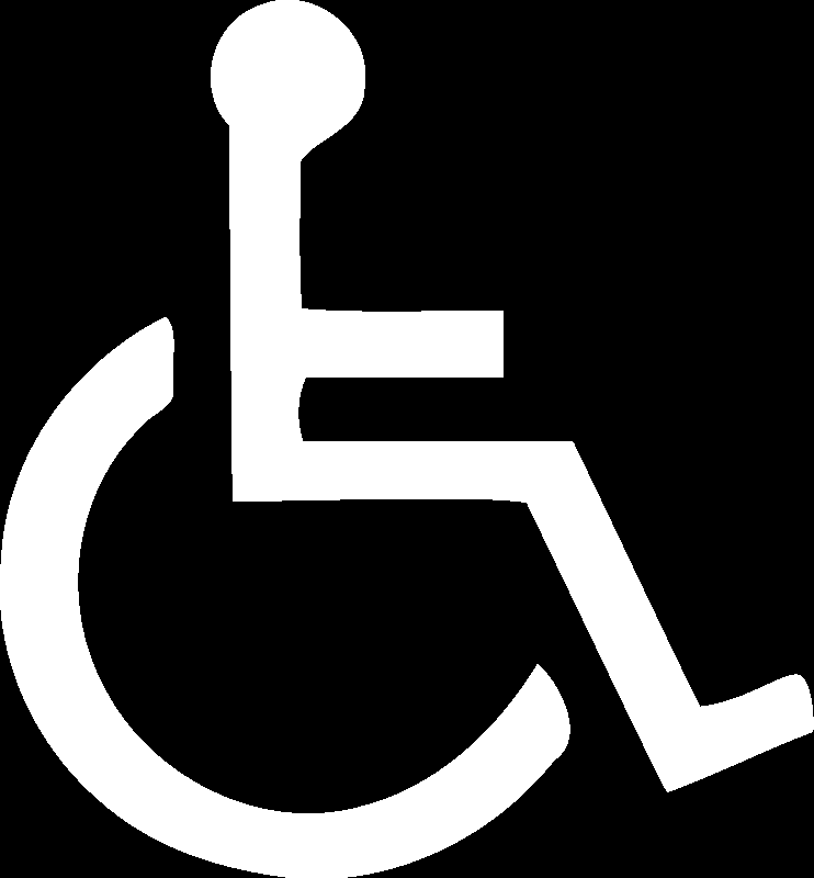 Calcolo accessibilità per sedie a rotelle Si propone di effettuare un calcolo dell'accessibilità sulla rete stradale del comune di Savona per sedie a rotelle tradizionali ed elettriche considerando i
