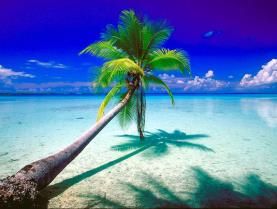 MOOREA Chiamata "sister island " l'isola sorella per la sua vicinanza con Tahiti, l'isola in effetti dista solamente 7 chilometri dalla piu' famosa meta turistica del Pacifico.
