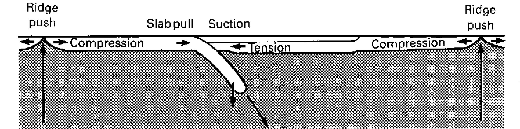 Quindi le forze principali che muovono le placche sono: (modello A: le placche guidano la convezione) (1) Slab pull (body force) (2) Slab suction
