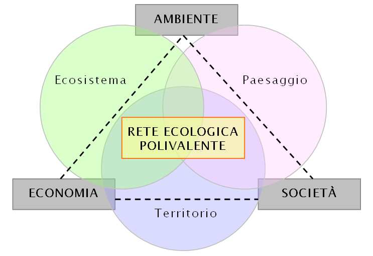 PREMESSA L Amministrazione comunale di Vigevano, con Delibera di Giunta Comunale n.