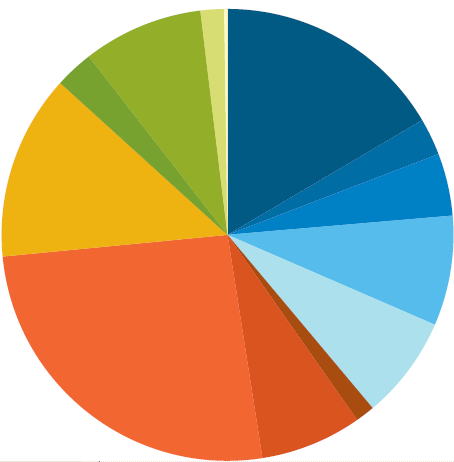 NREAP mix nazionali 15 Obiettivi e traiettorie (per settore e per anno) - DE 2005 5.8% 2010 8.2% 2015 11.3% 2020 18.