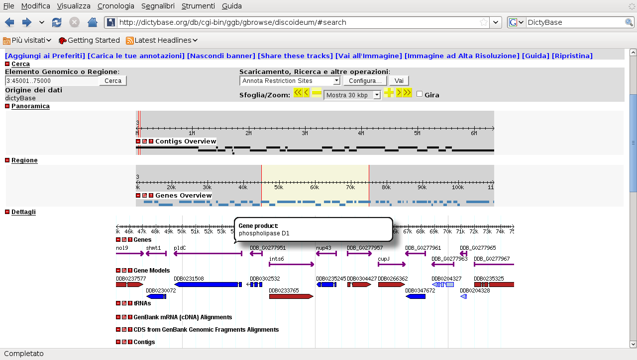 specifici database che rappresentano un importantissima risorsa bioinformatica per ulteriori studi e possibili analisi comparate con altri organismi.