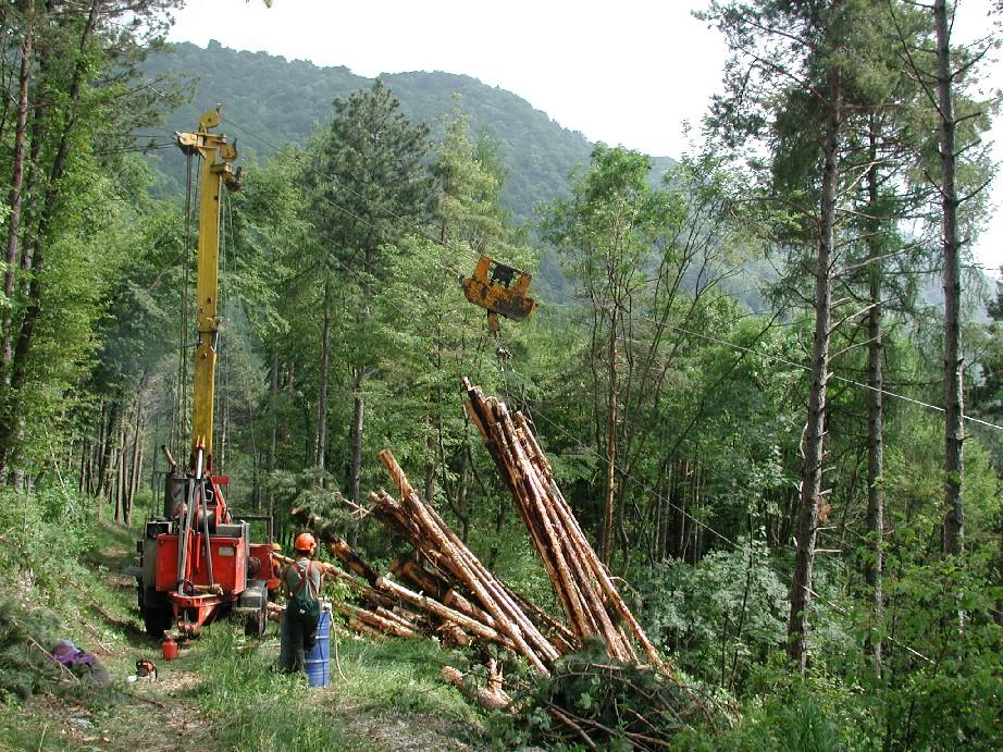 Struttura Foreste Regione Lombardia Direzione Generale Agricoltura foreste@regione.