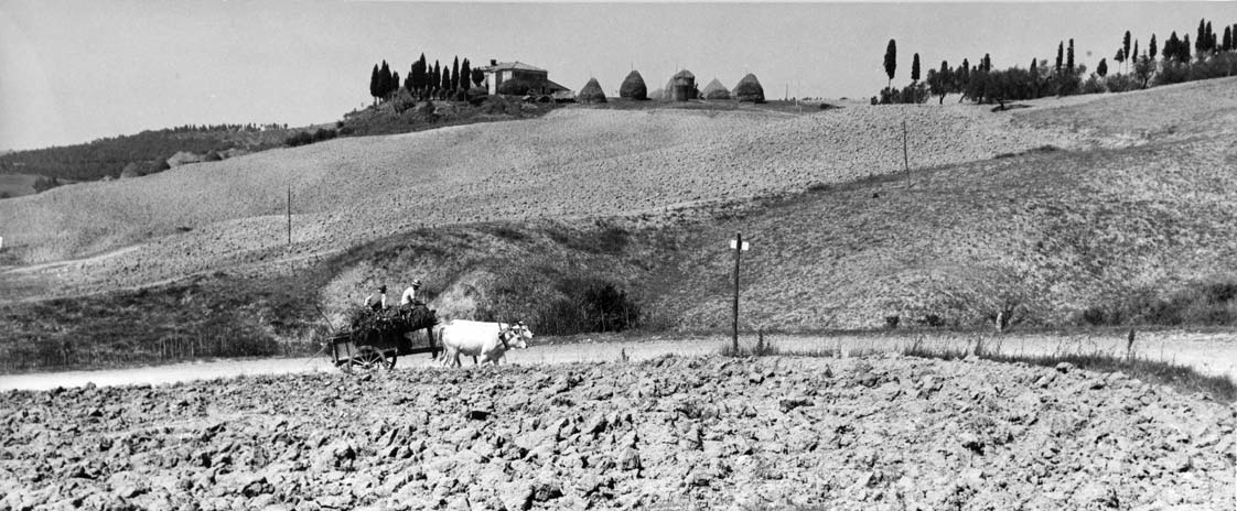 2 1 Vincenzo Balocchi (Firenze 1892-1975) La mia campagna Anni 50 cm 16,3 x 38,6 immagine cm 28 x 38,6 foglio Stampa alla gelatina e sali d argento.