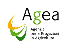 A G E A Agenzia per le erogazioni in agricoltura Progetto Miglioramento della Qualità della Produzione dell olio di oliva ed impatto ambientale Associazione Produttori Olivicoli aderente al CNO