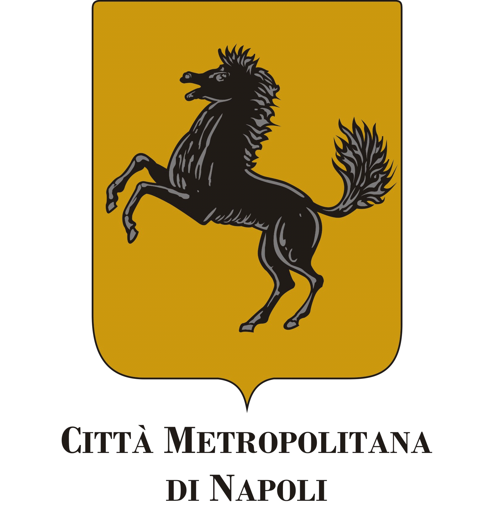 ACN Srl in liquidazione 2016 Gallipoli Giuseppe Liquidatore GLLGPP80P28H224Q 3.750,00 0,00 Pari al 25% (partecipazione al capitale) del compenso.