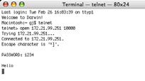 Capitolo 9 Appendice Uso di telnet È possibile controllare il proiettore utilizzando l applicazione telnet* 1 installata sul computer. Normalmente, l applicazione telnet è disponibile sul computer.
